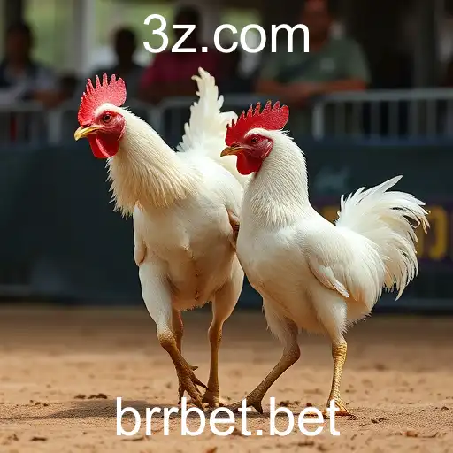 Sabong Games: A Tradição e a Modernidade com a Plataforma brrbet